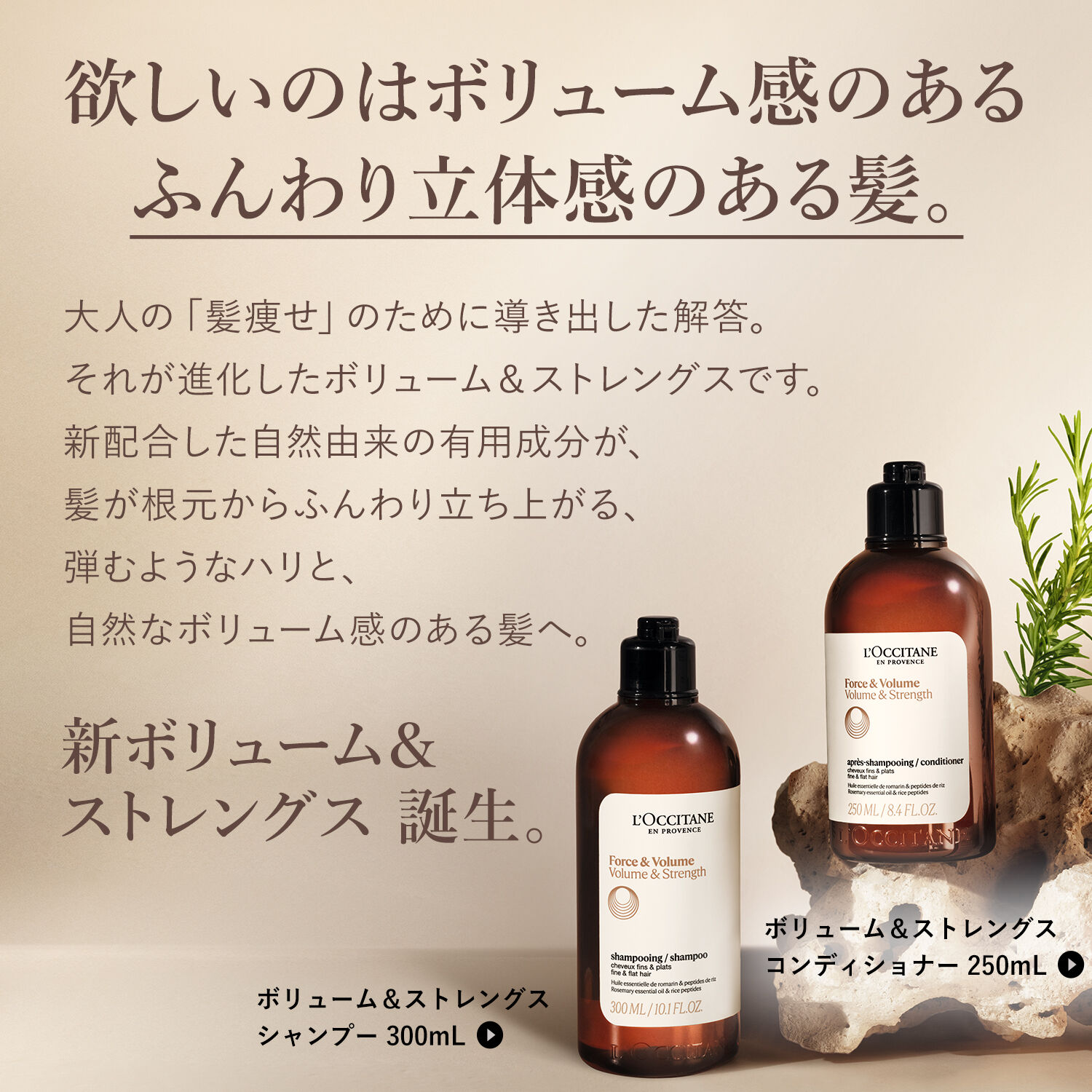 L&rsquo;OCCITANE「ボリューム＆ストレングス シャンプー300mL」|シャンプー|