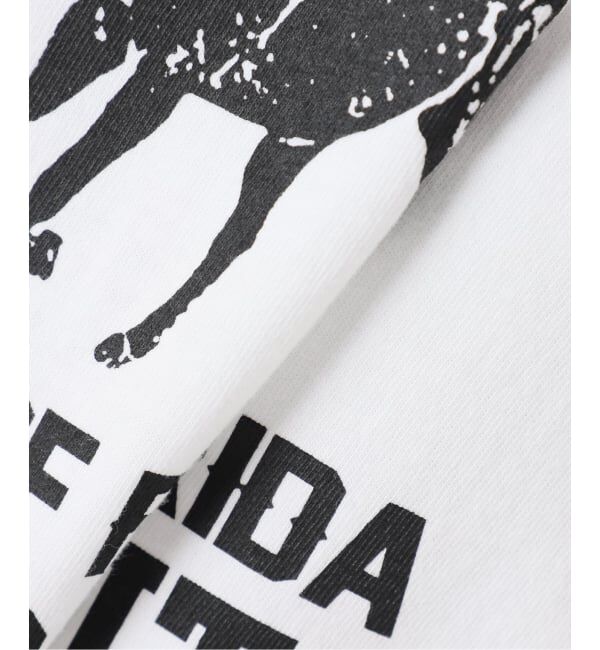 SLOBE IENA「《追加》GULF COAST/ガルフコースト SLOBE別注 グラフィックTEE1」|Tシャツ・カットソー|