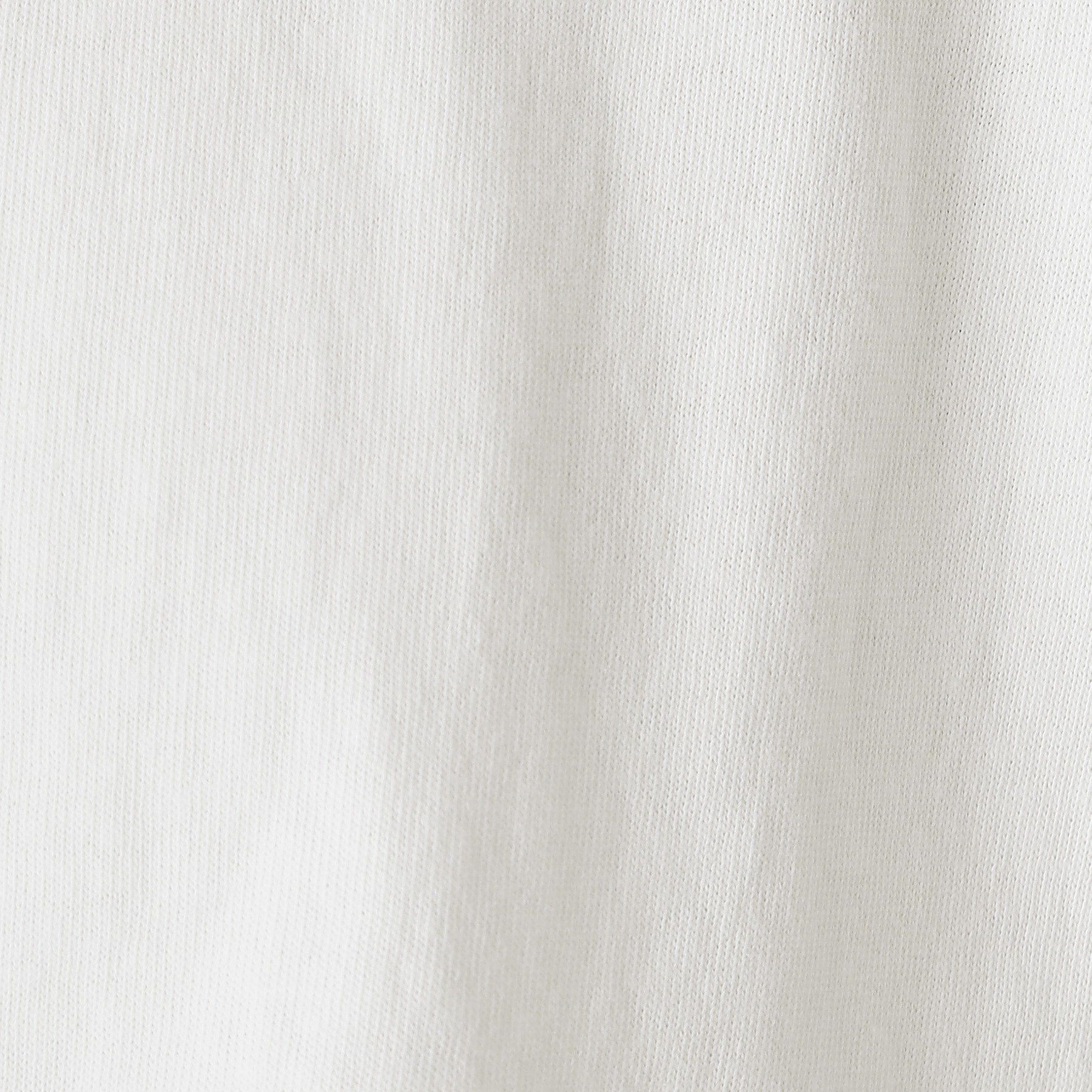 DRESSTERIOR「STAR＆STRIPE（スターアンドストライプ）フレンチスリーブトップス」|Tシャツ・カットソー|