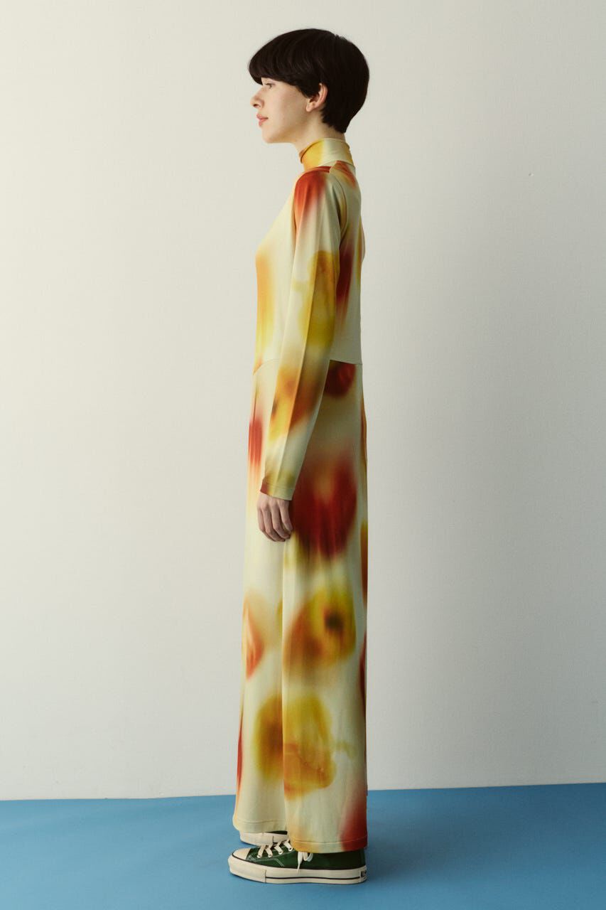 HeRIN.CYE「Paprika pattern dress」|ワンピース|