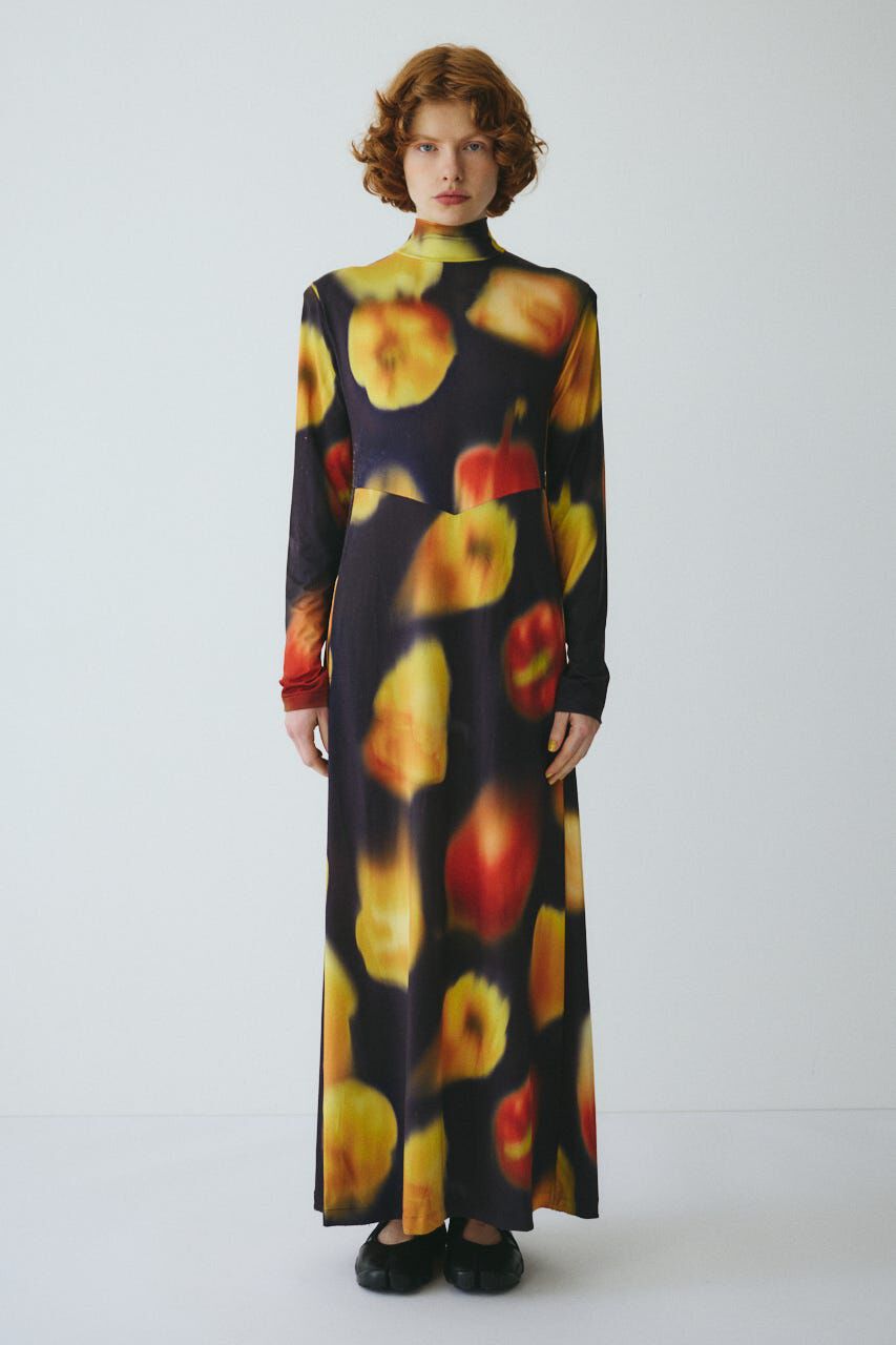 HeRIN.CYE「Paprika pattern dress」|ワンピース|柄NVY5