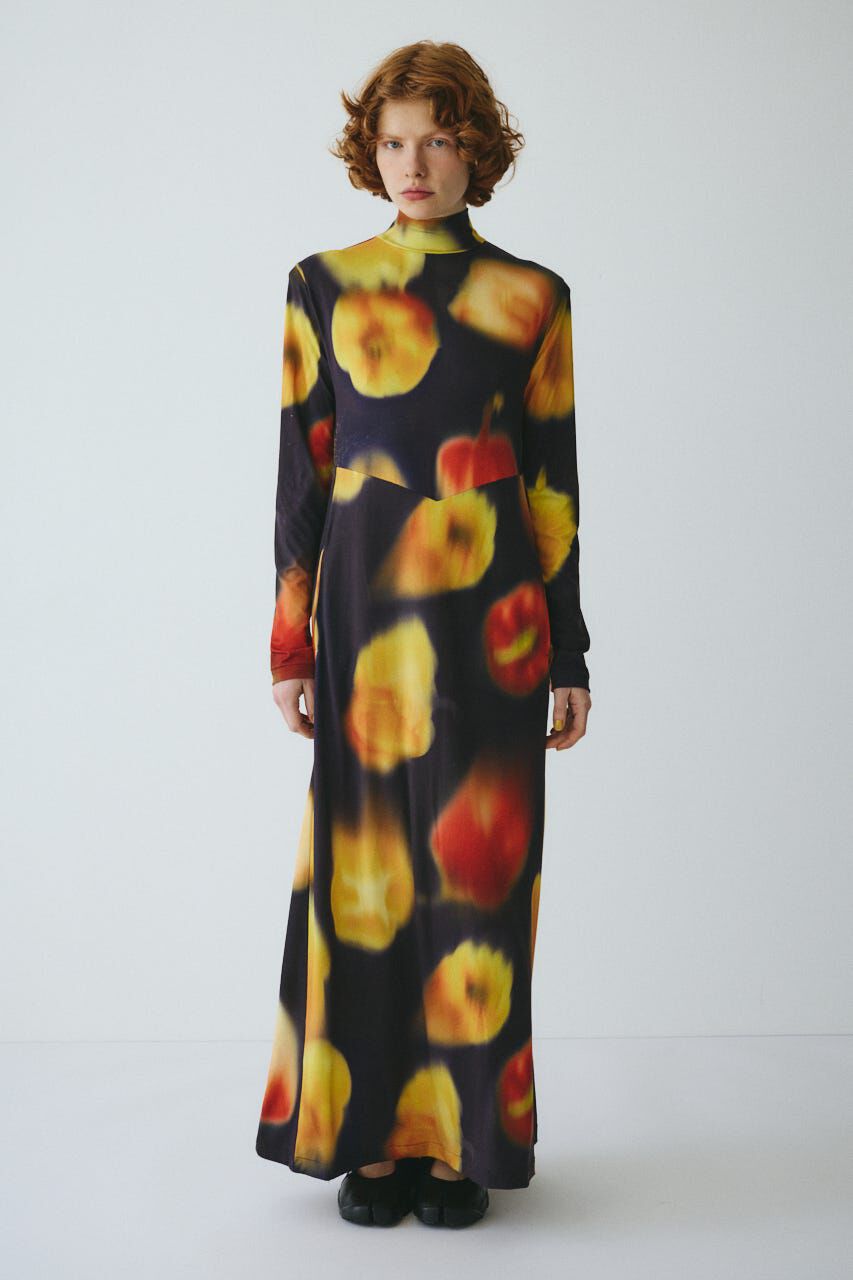 HeRIN.CYE「Paprika pattern dress」|ワンピース|