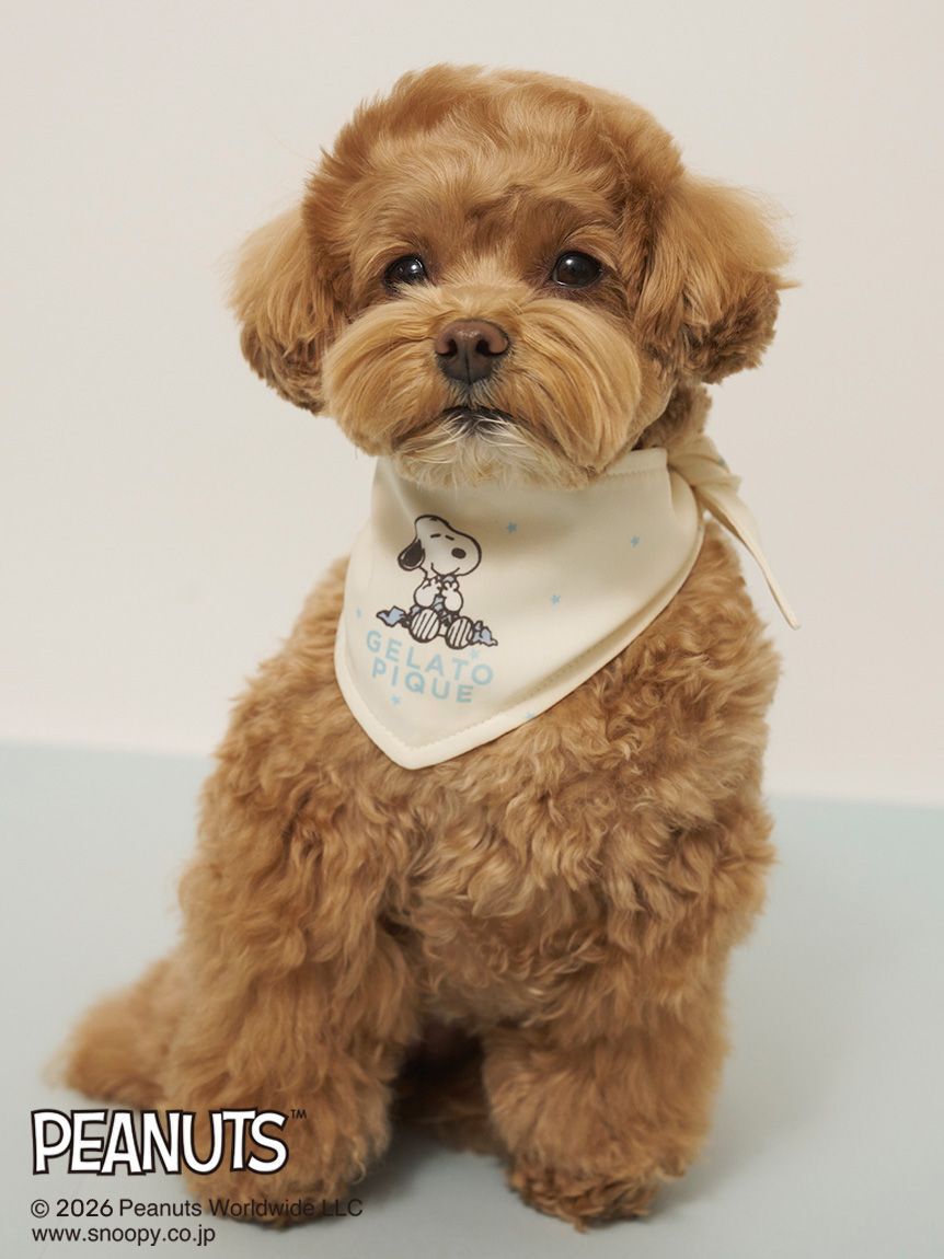  GELATO PIQUE CAT&DOG「【PEANUTS】【CAT&DOG】保冷剤入れバンダナ」|その他|IVR