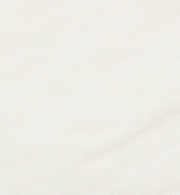 BEAUTY&YOUTH UNITED ARROWS「＜adidas Originals＞アニマル クルーソックス/2P」|ソックス|