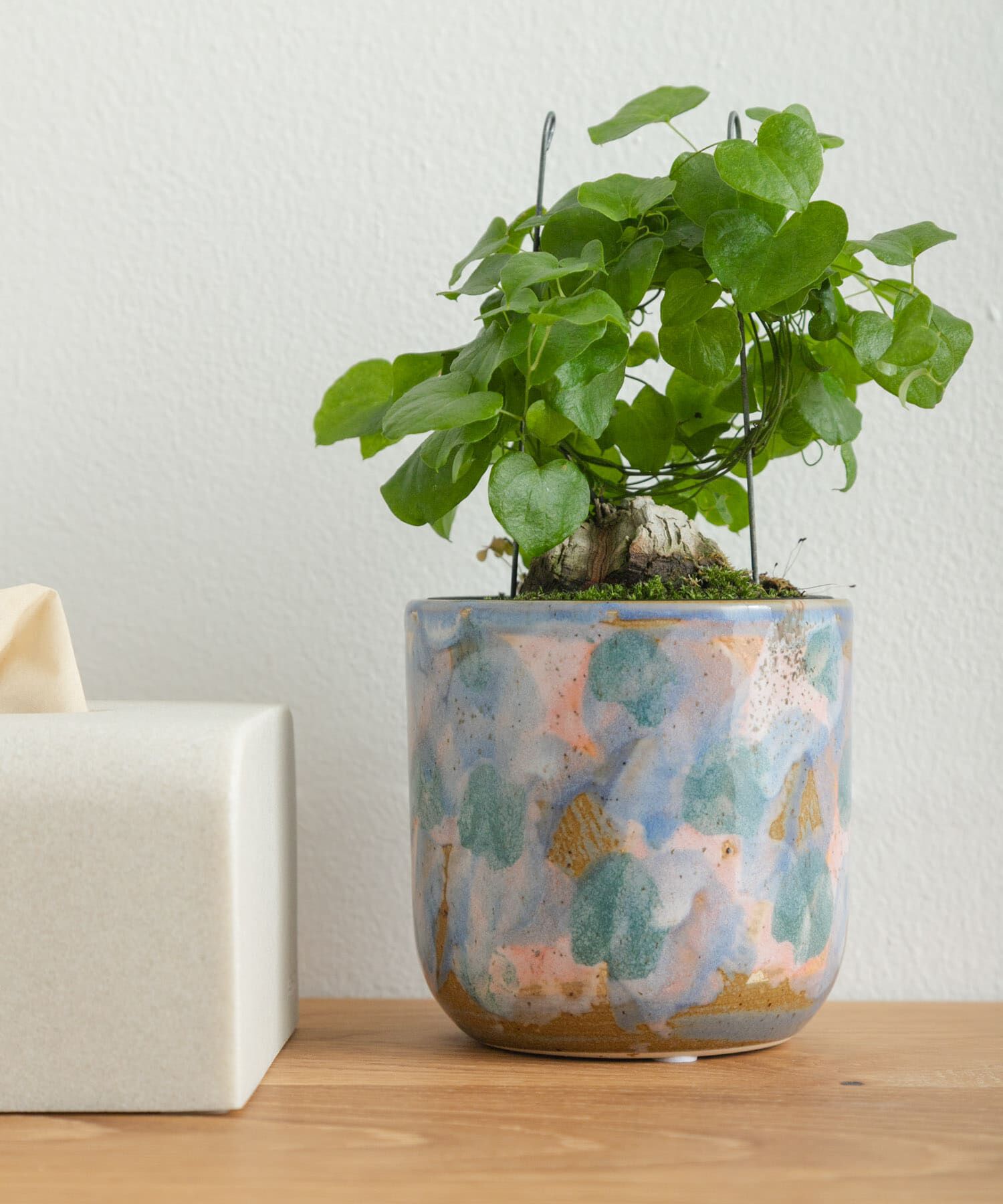 URBAN RESEARCH DOORS「Inter Plants Net　パレット 10.5」|フィギュア・ホビー|