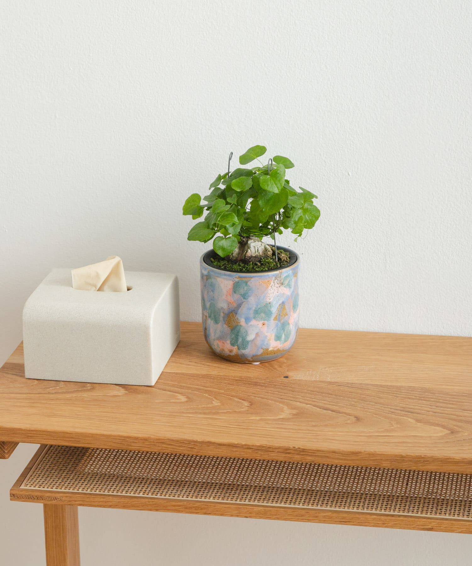 URBAN RESEARCH DOORS「Inter Plants Net　パレット 10.5」|フィギュア・ホビー|