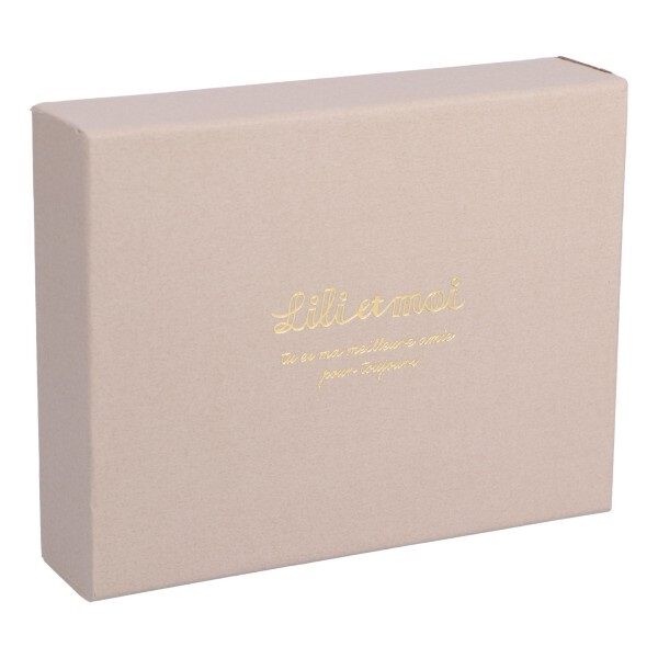  「メタルチャーム・　シングルパスケース　／Ｌｉｌｉｅｔｍｏｉ」|定期入れ|