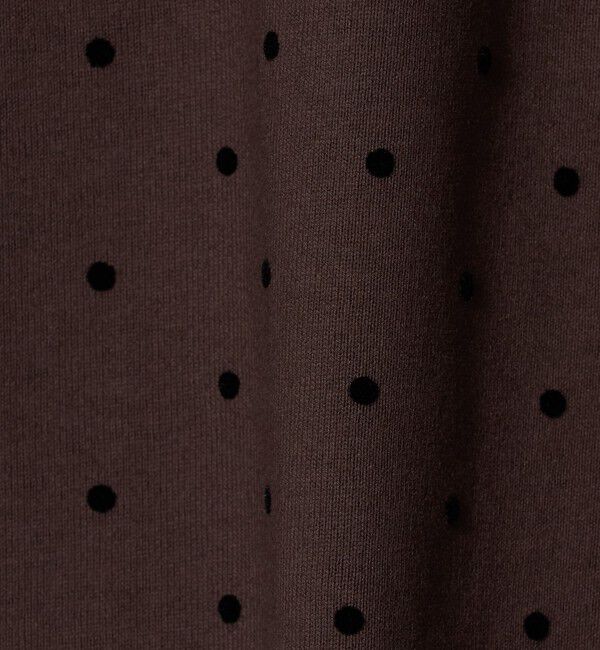 BEAUTY&YOUTH UNITED ARROWS「コットン ドットプリント  Tシャツ」|Tシャツ・カットソー|