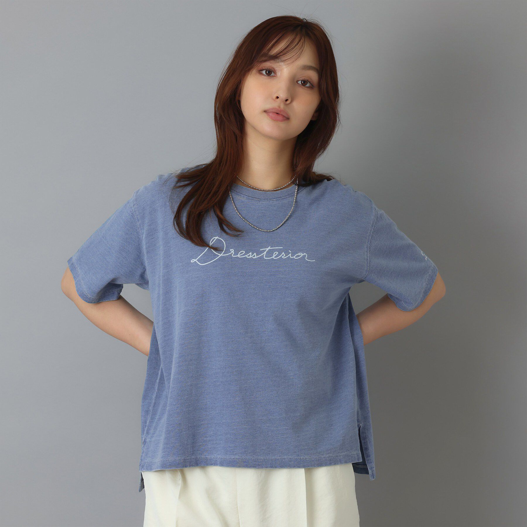 DRESSTERIOR「インディゴ天竺ロゴTシャツ」|Tシャツ・カットソー|サックスブルー(09
