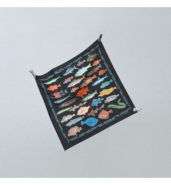 bPr BEAMS「【別注】THE PRINTED IMAGE / BANDANA」|トイレタリー・ランドリーグッズ|PACIFIC_COAST_FISHES