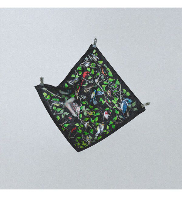 bPr BEAMS「【別注】THE PRINTED IMAGE / BANDANA」|トイレタリー・ランドリーグッズ|SONGBIRDS