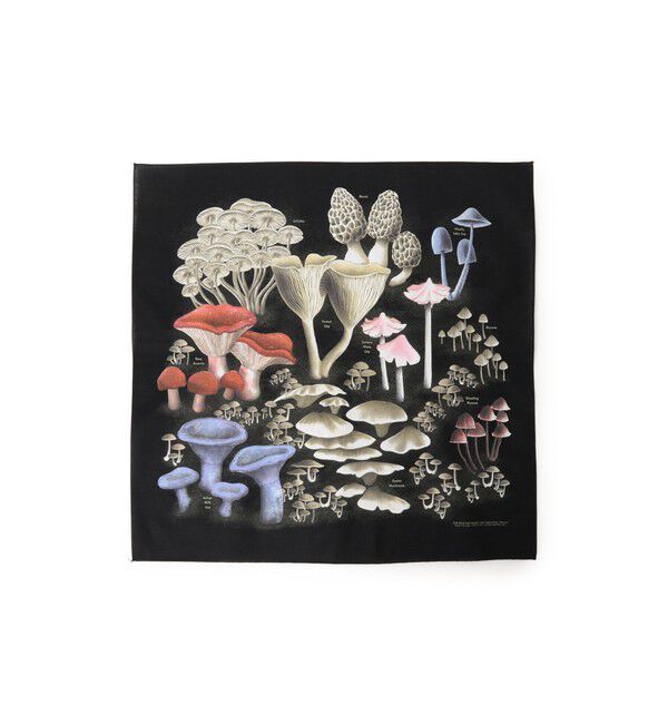 bPr BEAMS「【別注】THE PRINTED IMAGE / BANDANA」|トイレタリー・ランドリーグッズ|