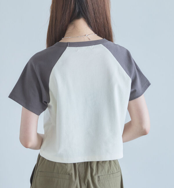 archives「ラグランバイカラーチビＴＥＥ」|Tシャツ・カットソー|