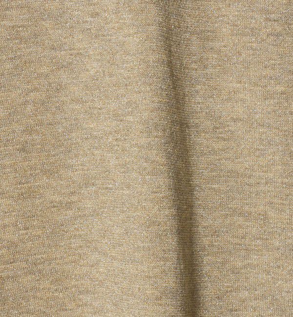 UNITED ARROWS green label relaxing「シャイニーラメ ショートスリーブ カットソー」|Tシャツ・カットソー|