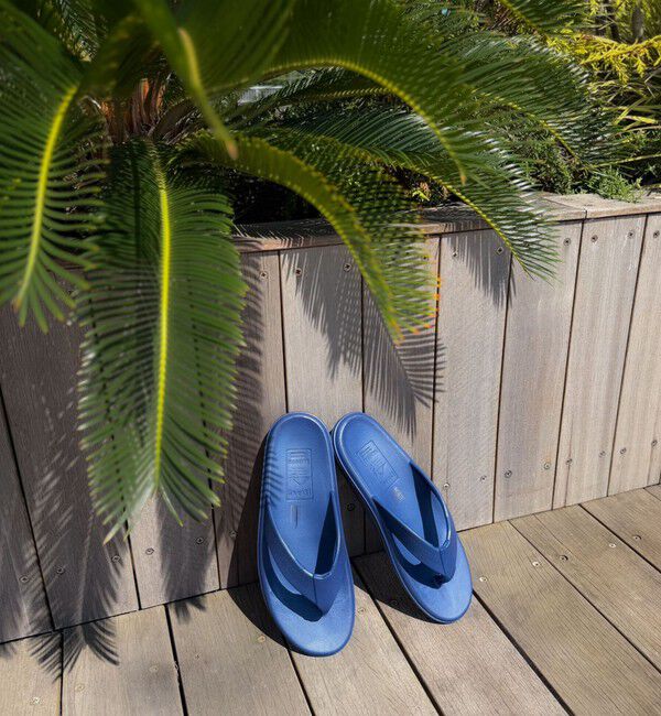 NOLLEY'S goodman「【ISLAND SLIPPER/アイランド・スリッパ】202EVAトングサンダル」|その他|