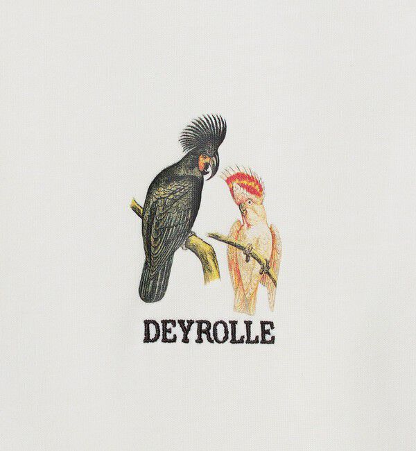 UNITED ARROWS green label relaxing「DEYROLLE GLR プリント クルーネック 半袖 Tシャツ」|Tシャツ・カットソー|