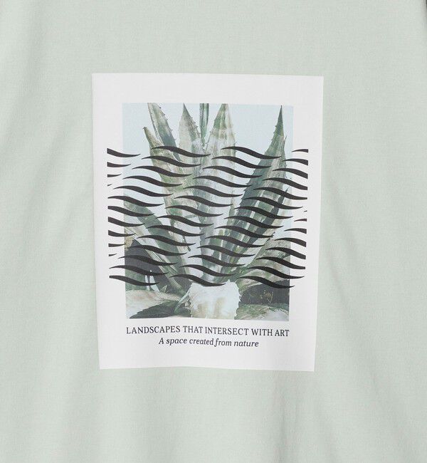 UNITED ARROWS green label relaxing「＜Phospho Graphica＞グラフィック 半袖 Tシャツ カットソー」|Tシャツ・カットソー|
