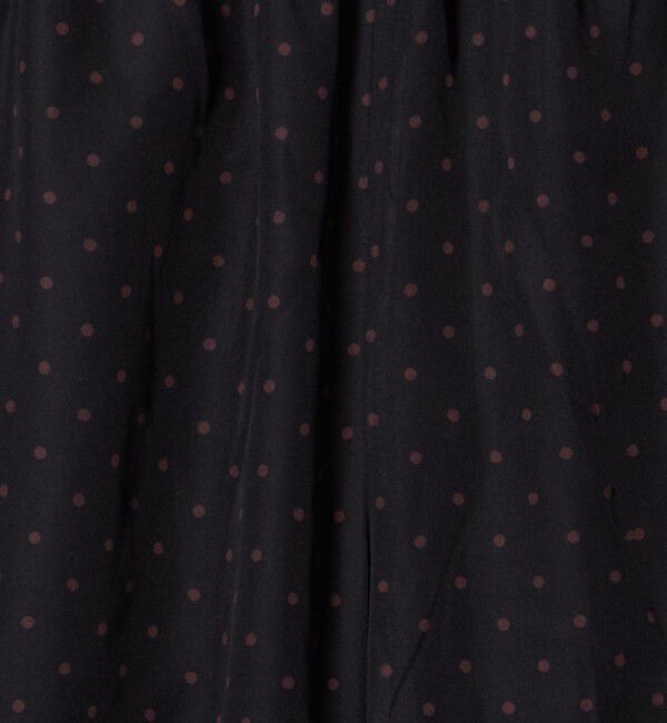 BEAUTY&YOUTH UNITED ARROWS「【別注】＜She is-.＞ドット シアー ワイドパンツ」|その他|