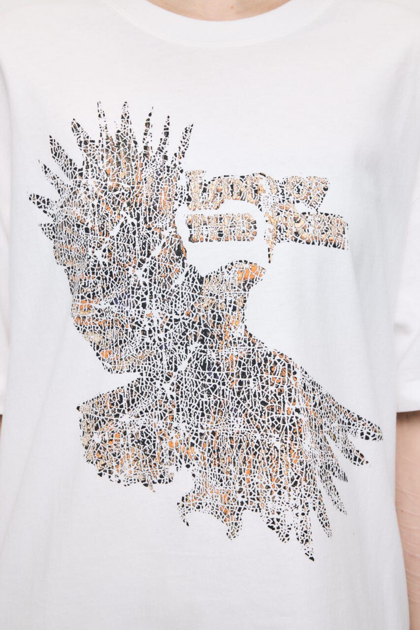 MOUSSY「JN LAND OF THE FREE TEE」|Tシャツ・カットソー|