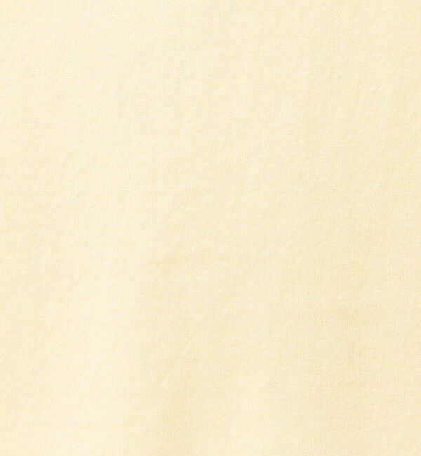NOLLEY'S「【 SHOP PRESS二見別注カラー】レイヤードピース付きVネックプルオーバー」|ニット・セーター|