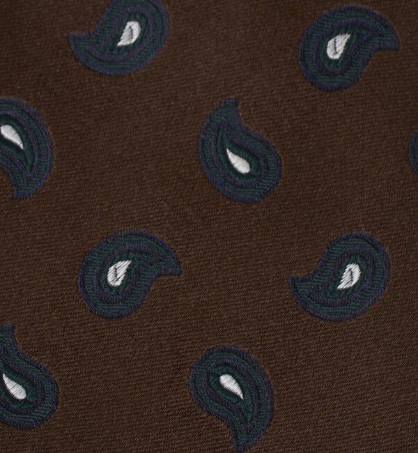 UNITED ARROWS「＜STEFANO BIGI＞ペイズリー サテン ネクタイ」|ネクタイ・蝶ネクタイ|