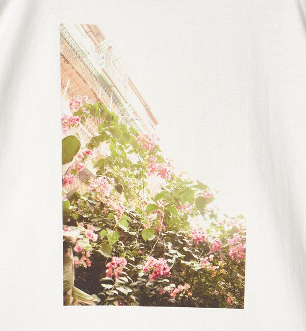 UNITED ARROWS green label relaxing「【別注】＜BETTERDAYS STADIUM＞GLR 台湾 フォト 半袖 Tシャツ」|Tシャツ・カットソー|