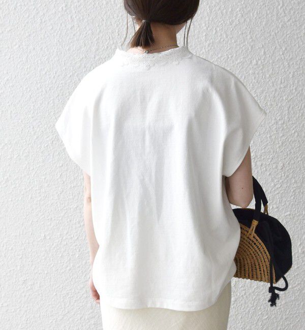 SHIPS any「《一部追加予約》SHIPS any:〈洗濯機可能〉レース カラー フレンチスリーブ ポロ プルオーバー」|Tシャツ・カットソー|