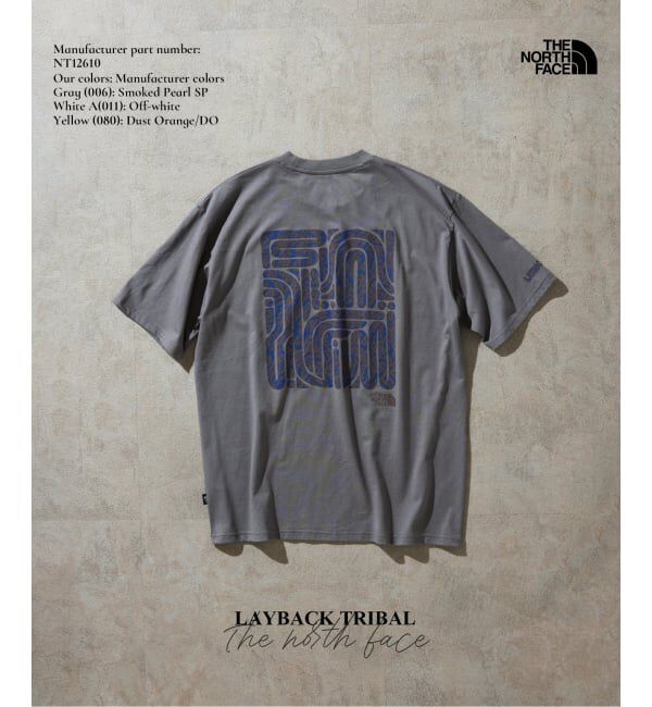 JOURNAL STANDARD relume「THE NORTH FACE / ノースフェイス レイバックトライバルティー」|Tシャツ・カットソー|グレー