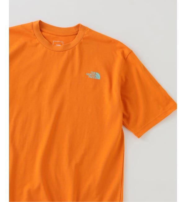 JOURNAL STANDARD relume「THE NORTH FACE / ノースフェイス レイバックトライバルティー」|Tシャツ・カットソー|