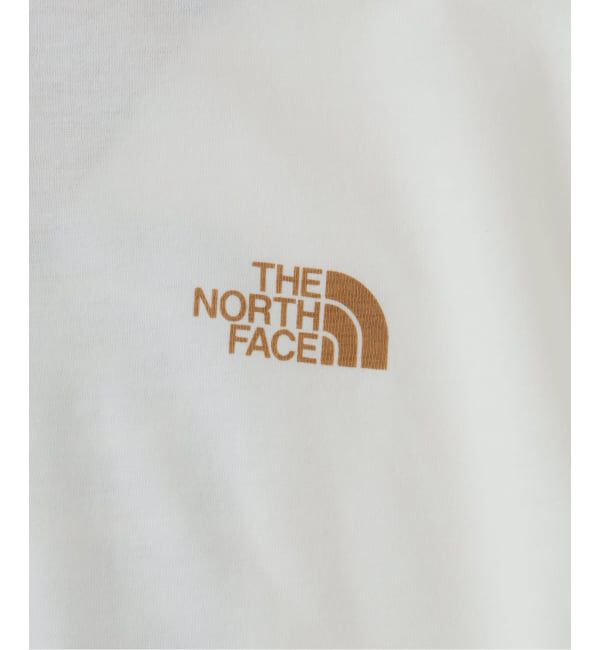 JOURNAL STANDARD relume「THE NORTH FACE / ノースフェイス レイバックトライバルティー」|Tシャツ・カットソー|