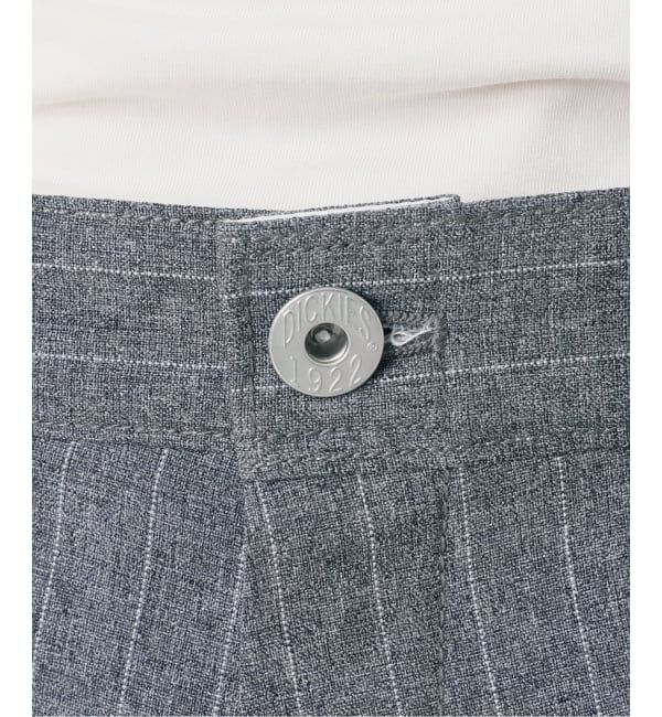  「Dickies 別注 PAINTER パンツ」|その他|