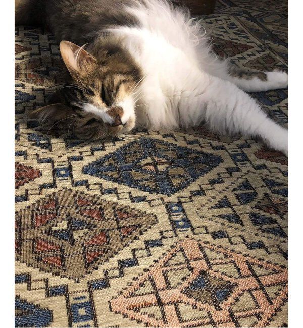 ACME「GLENOAKS RUG 200x200 グレンオークスラグ」|その他|