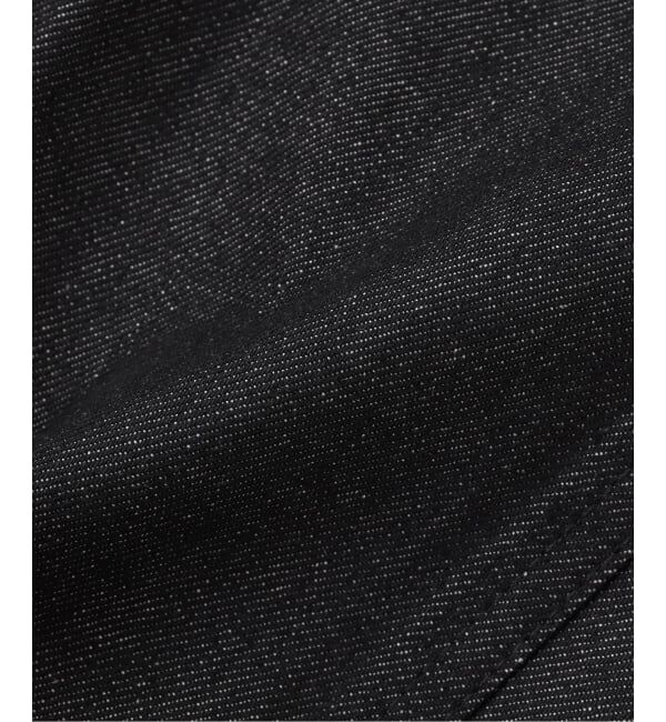 JOURNAL STANDARD「BEN DAVIS / ベンデイビス GORILLA CUT PT DENIM PT L3」|デニム|