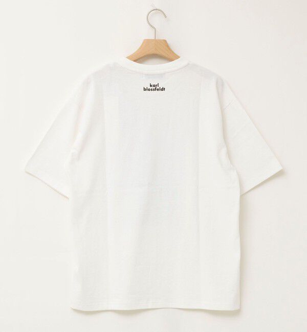 Rie Miller「【WEB＆一部店舗限アイテム】【karl blossfeldt】プラントフォトＴシャツ」|Tシャツ・カットソー|