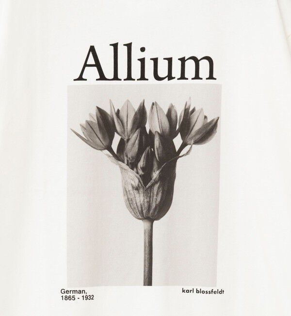 Rie Miller「【WEB＆一部店舗限アイテム】【karl blossfeldt】プラントフォトＴシャツ」|Tシャツ・カットソー|