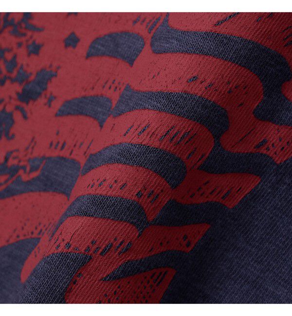 BEAMS PLUS「【別注】WAREHOUSE & CO. / Lot 4601 Print Tshirt #1」|Tシャツ・カットソー|