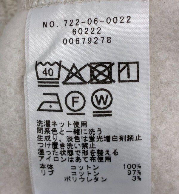 SHIPS any「《追加予約》SHIPS any:〈洗濯機可能〉USAコットン 裏起毛 フーディー ルーズ プルオーバー」|パーカー|