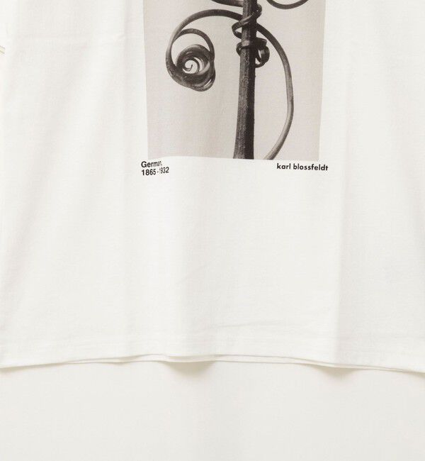 Rie Miller「【WEB＆一部店舗限アイテム】【karl blossfeldt】プラントフォトＴシャツ」|Tシャツ・カットソー|