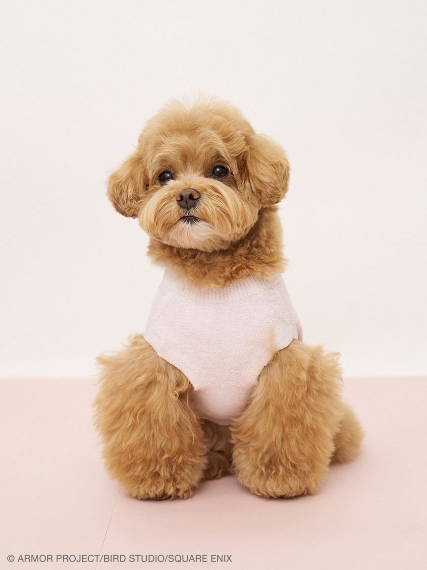  GELATO PIQUE CAT&DOG「【ドラゴンクエスト】 【CAT&DOG】【販路限定】ジャガードプルオーバー」|その他|
