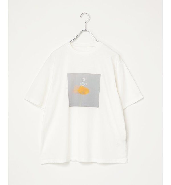 VENCE share style「【接触冷感／UVカット】天竺フラワープリントTシャツ」|Tシャツ・カットソー|