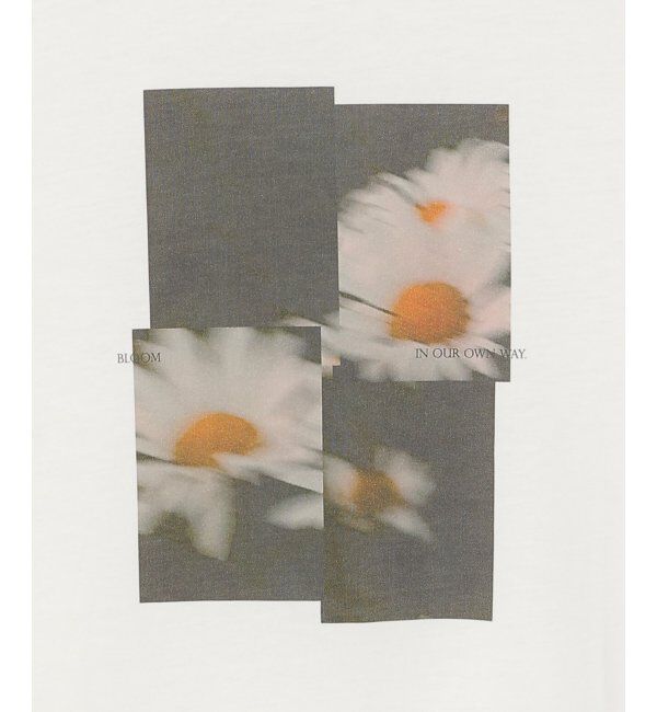 VENCE share style「【接触冷感／UVカット】Flower プリントTシャツ」|Tシャツ・カットソー|