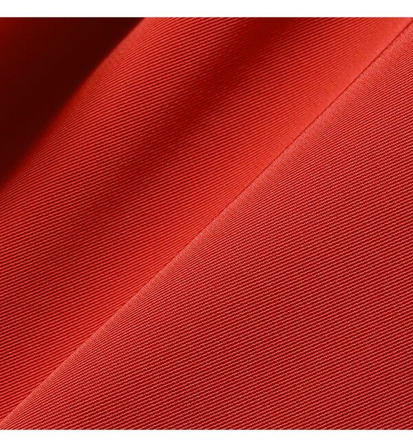 Demi-Luxe BEAMS 「【接触冷感】トリアセ ポリエステル ツイル ドロストパンツ」|チノ|