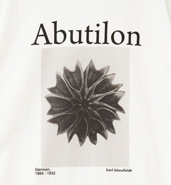 Rie Miller「【WEB＆一部店舗限アイテム】【karl blossfeldt】プラントフォトＴシャツ」|Tシャツ・カットソー|