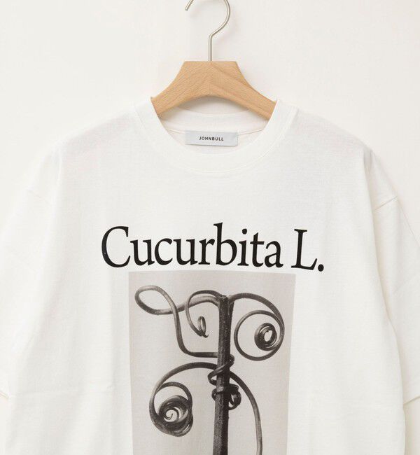 Rie Miller「【WEB＆一部店舗限アイテム】【karl blossfeldt】プラントフォトＴシャツ」|Tシャツ・カットソー|
