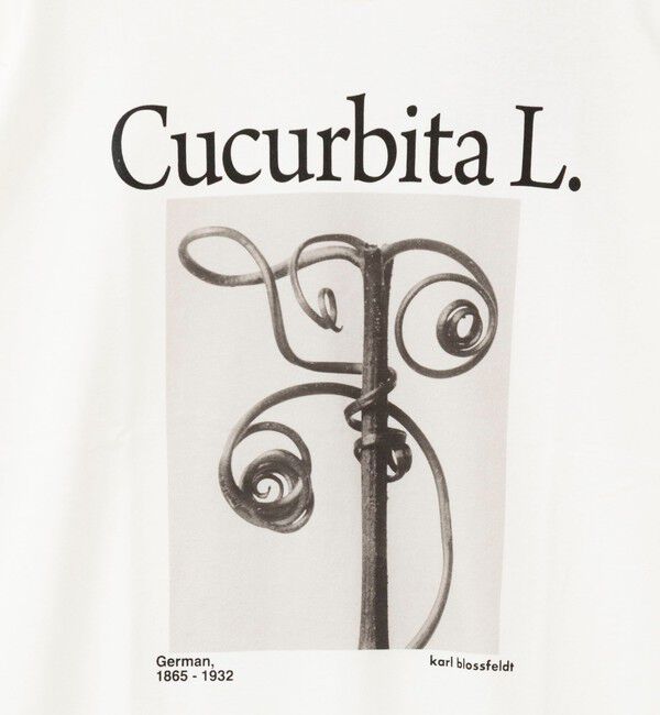 Rie Miller「【WEB＆一部店舗限アイテム】【karl blossfeldt】プラントフォトＴシャツ」|Tシャツ・カットソー|