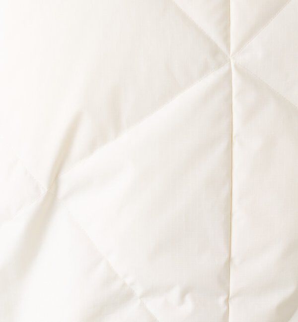  「【TAION別注モデル】マフラー付きノーカラーダウン」|その他|
