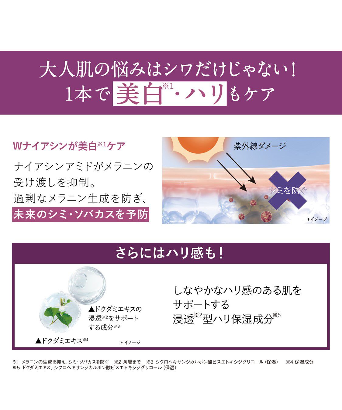 ORBIS「ORBIS オルビス ザ リンクルセラム ラージサイズ 60g 【医薬部外品】」|美容液・オイル・クリーム|