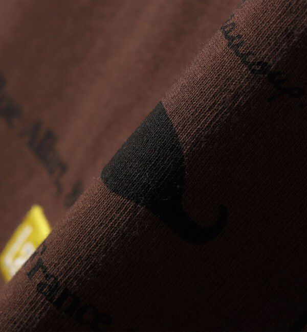 SHIPS any「【SHIPS any別注】La Hutte:〈洗濯機可能〉デザイン ロゴ プリント TEE 26SS」|Tシャツ・カットソー|