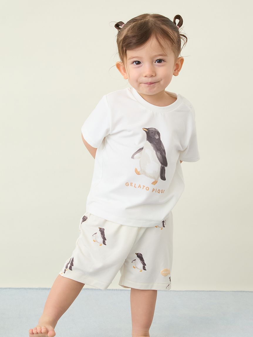 GELATO PIQUE KIDS & BABY「【BABY】【接触冷感】シーアニマル柄ショートパンツ」|その他ベビーウェア|YEL