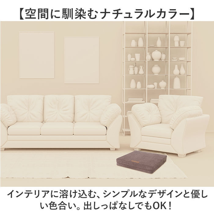 BACKYARD FAMILY「体幹ぴょんぴょん ホップステッパー スリム 通販 トランポリンクッション 踏み台昇降 トランポリン」|スポーツ|